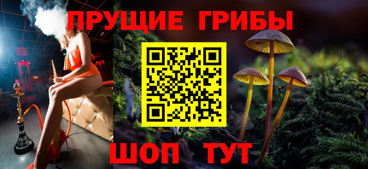 Галлюциногенные грибы Psilocybine cubensis Сочи