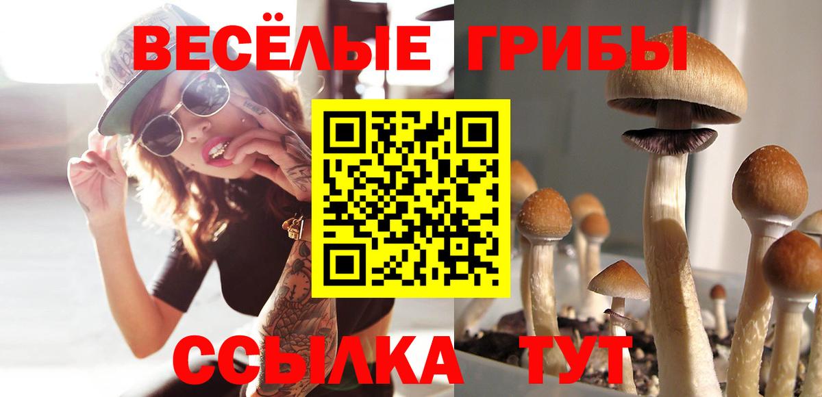 Сочи  Псилоцибиновые грибы Cubensis  Вход с VPN  что такое наркотик  Галлюциногенные грибы мицелий 